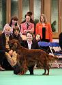 Crufts2010 1078